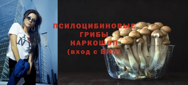 сатива Красноперекопск