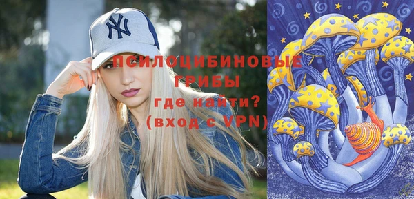 apvp Краснослободск