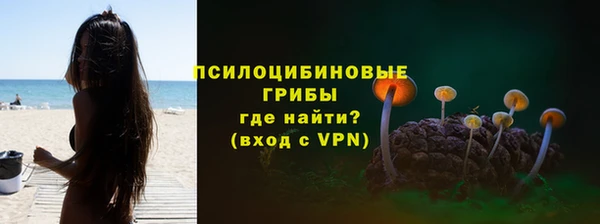 мдпв Краснотурьинск